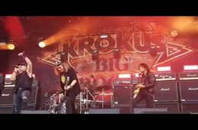 PHOTO krokus.jpeg
